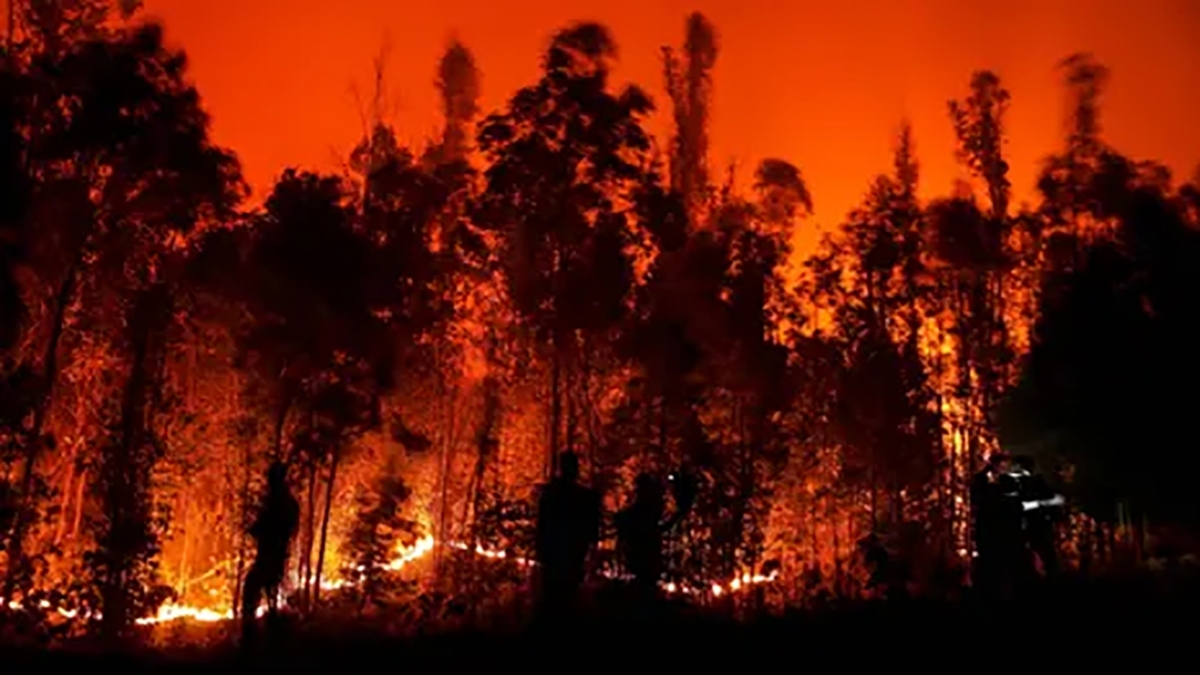 فیلم| آتش سوزی گسترده در شیلی