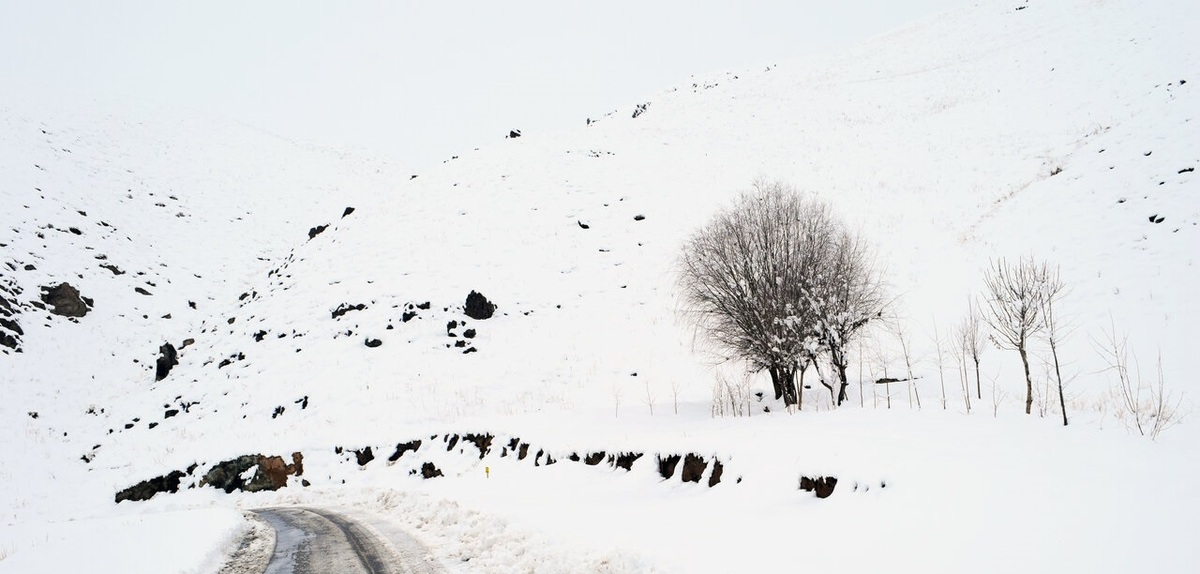 تصاویر| بارش برف در روستای گلاز شهرستان اشنویه