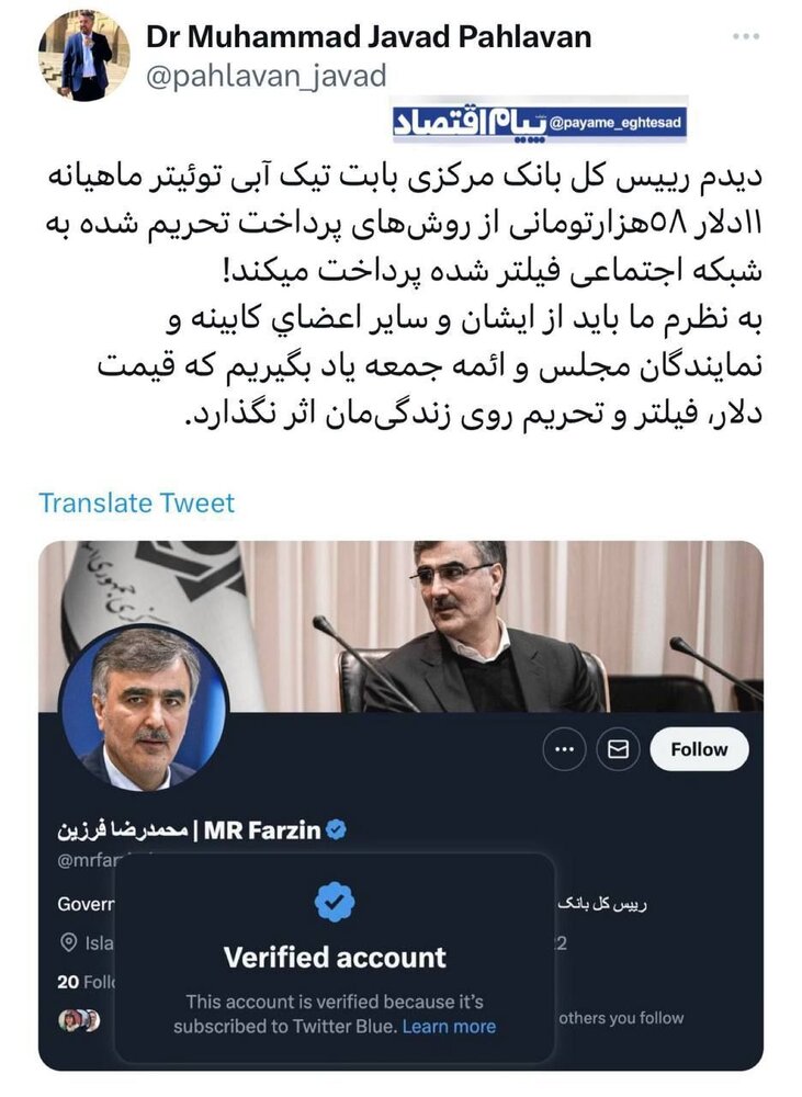 فرزین هم با «تیک آبی»، فیلترینگ و تحریم‌ها را دور زد