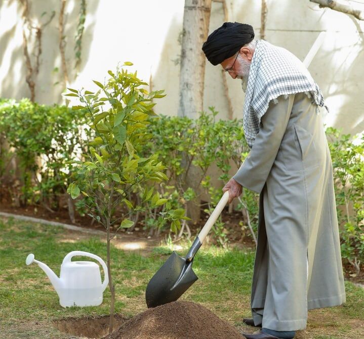 کاشت یک نهال توسط رهبر انقلاب