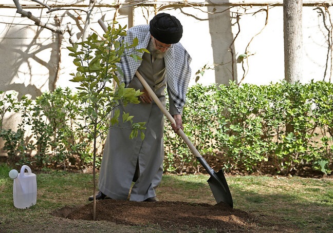تصاویر | رهبر انقلاب در حال درختکاری
