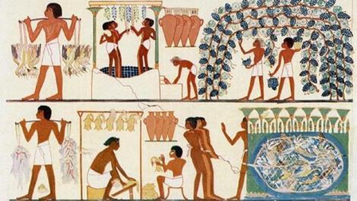 غذا‌های فراعنه مصر چه بود؟
