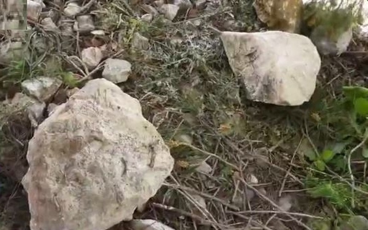 فیلم| کشف دستگاه جاسوسی که داخل سنگ جاساز شده بود