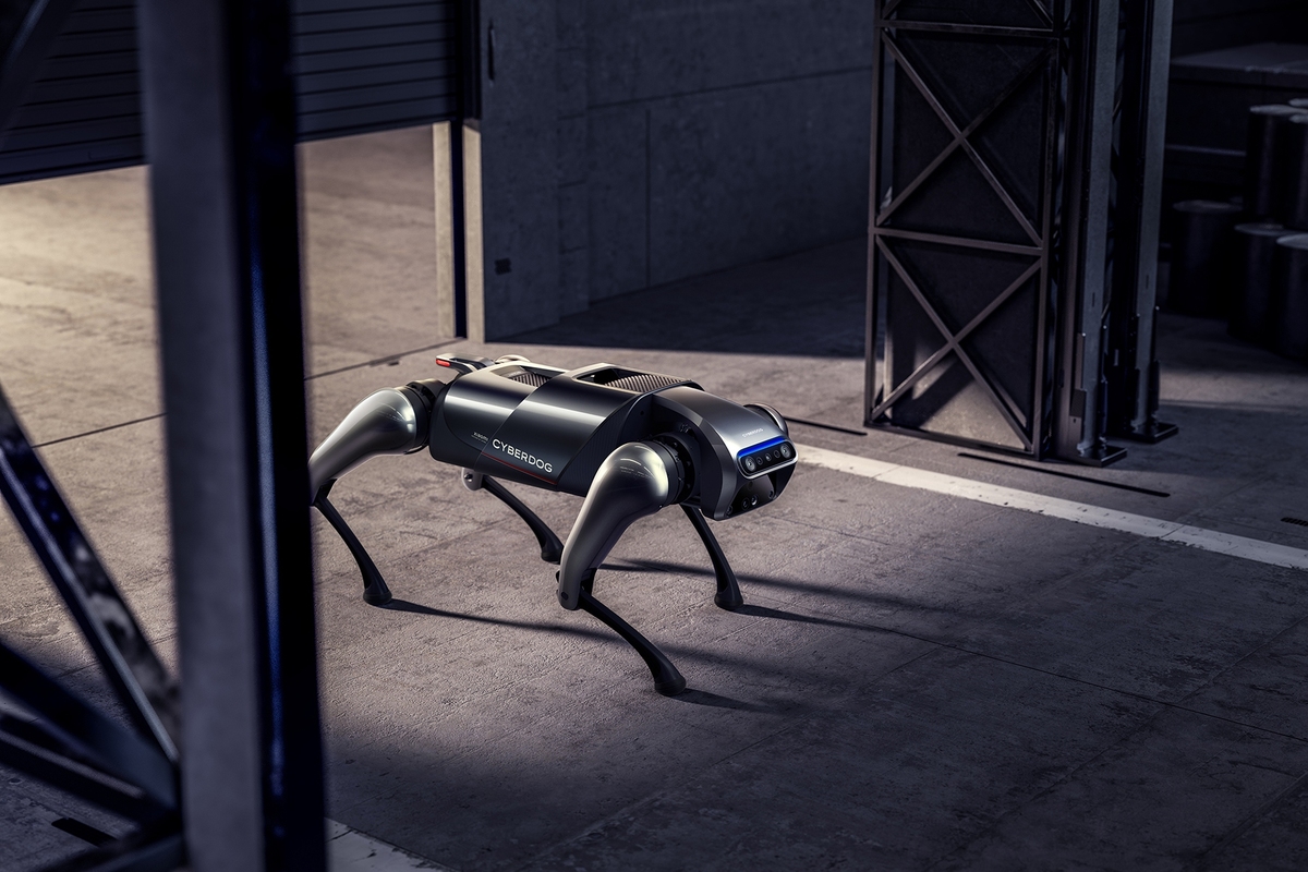 فیلم| واکنش خنده‌دار دو سگ پس از روبرو شدن با یک سگ رباتیک