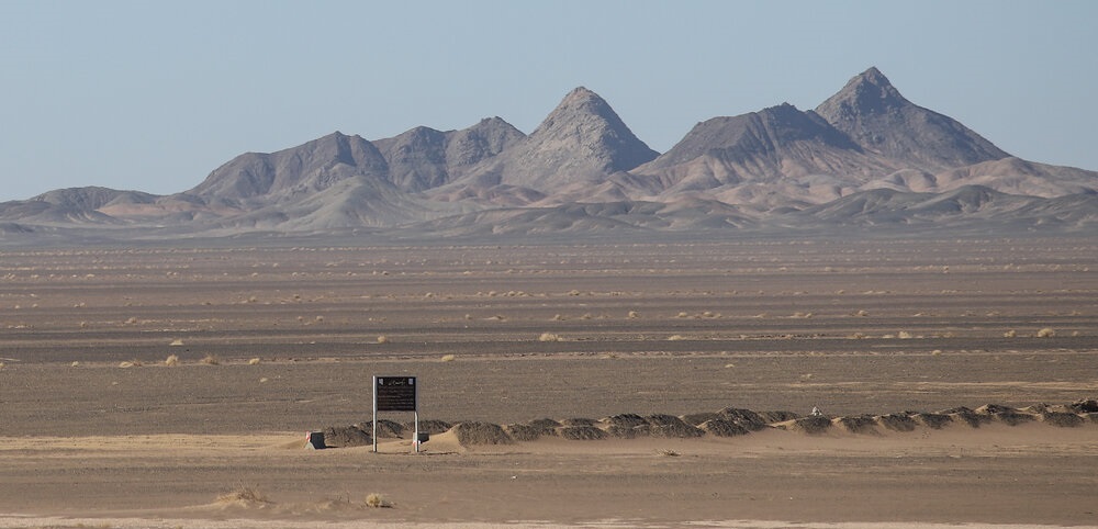 تصاویر| از نهال تا آبادی
