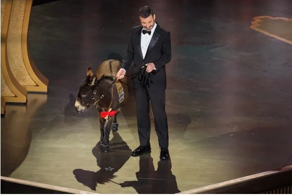 حواشی اسکار ۲۰۲۳؛ برنده: خرها، بازنده: هر کسی که هوس نمایشنامه دارد! حواشی اسکار ۲۰۲۳؛ برنده: خرها، بازنده: هر کسی که هوس نمایشنامه دارد!