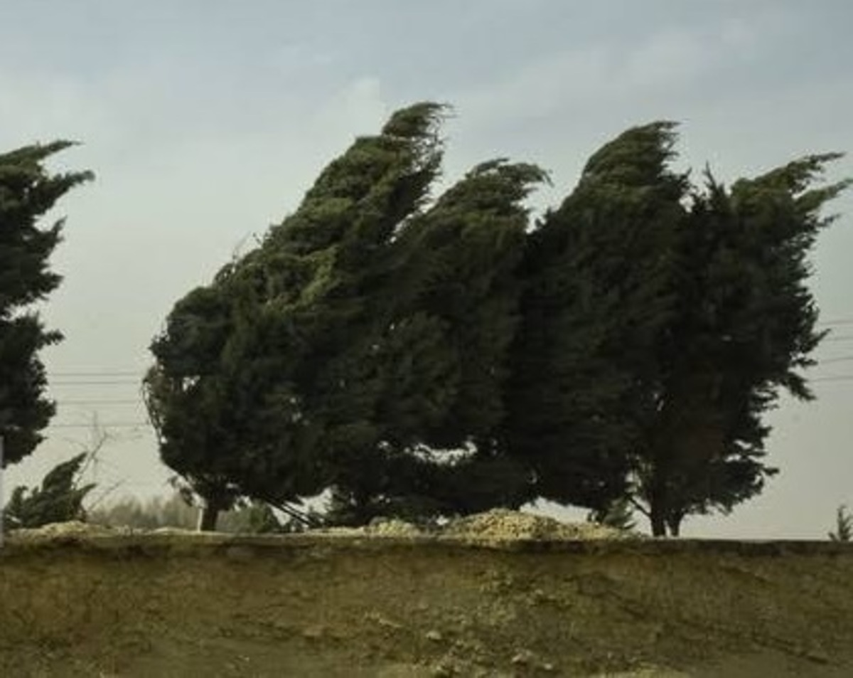 مدیریت بحران «هشدار وزش باد شدید در تهران» را تکذیب کرد