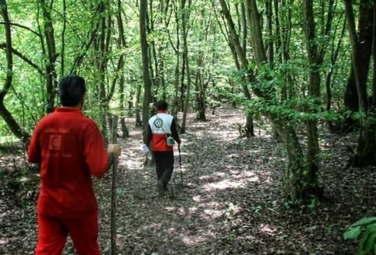 دختر نوجوان گمشده در جنگل کردکوی پیدا شد
