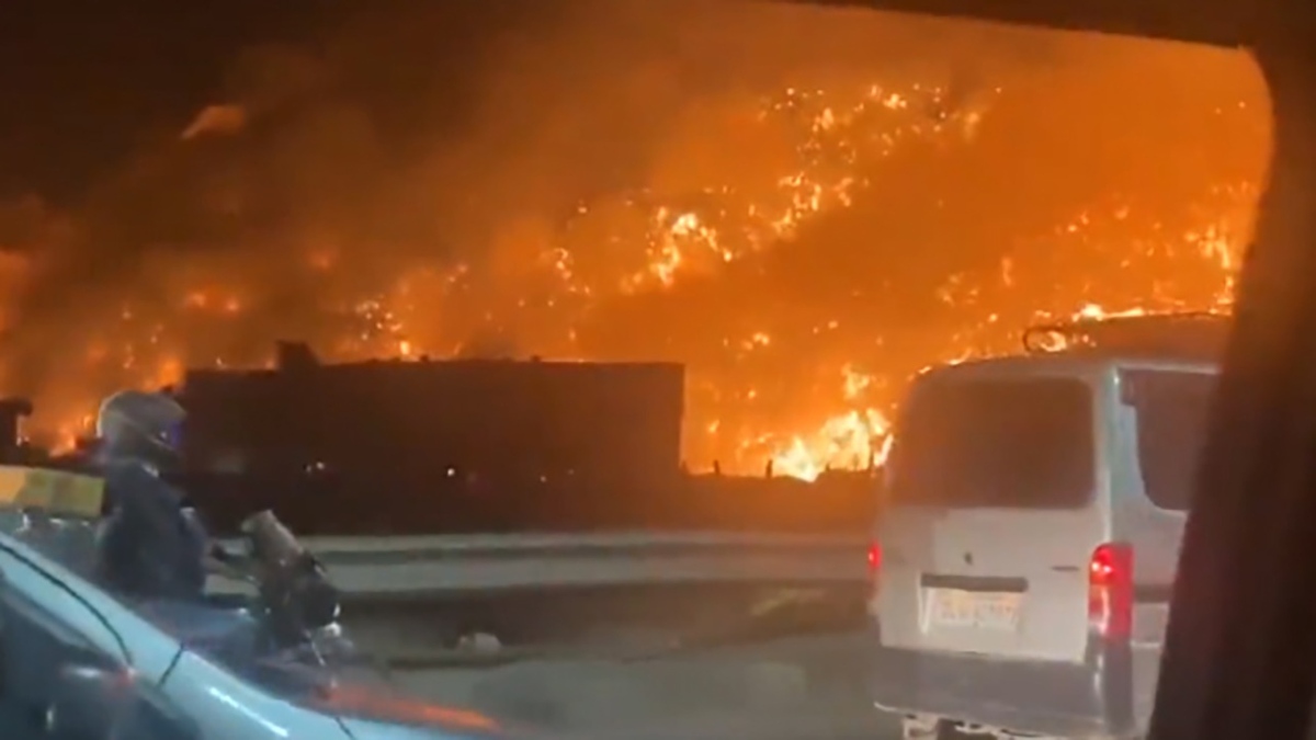 فیلم| آتش سوزی جنگلی در دهلی نو