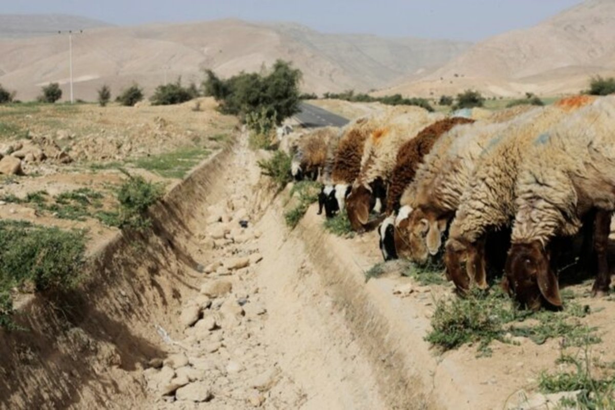 زنگ خطر کاهش بارش برای یک میلیون خانوار