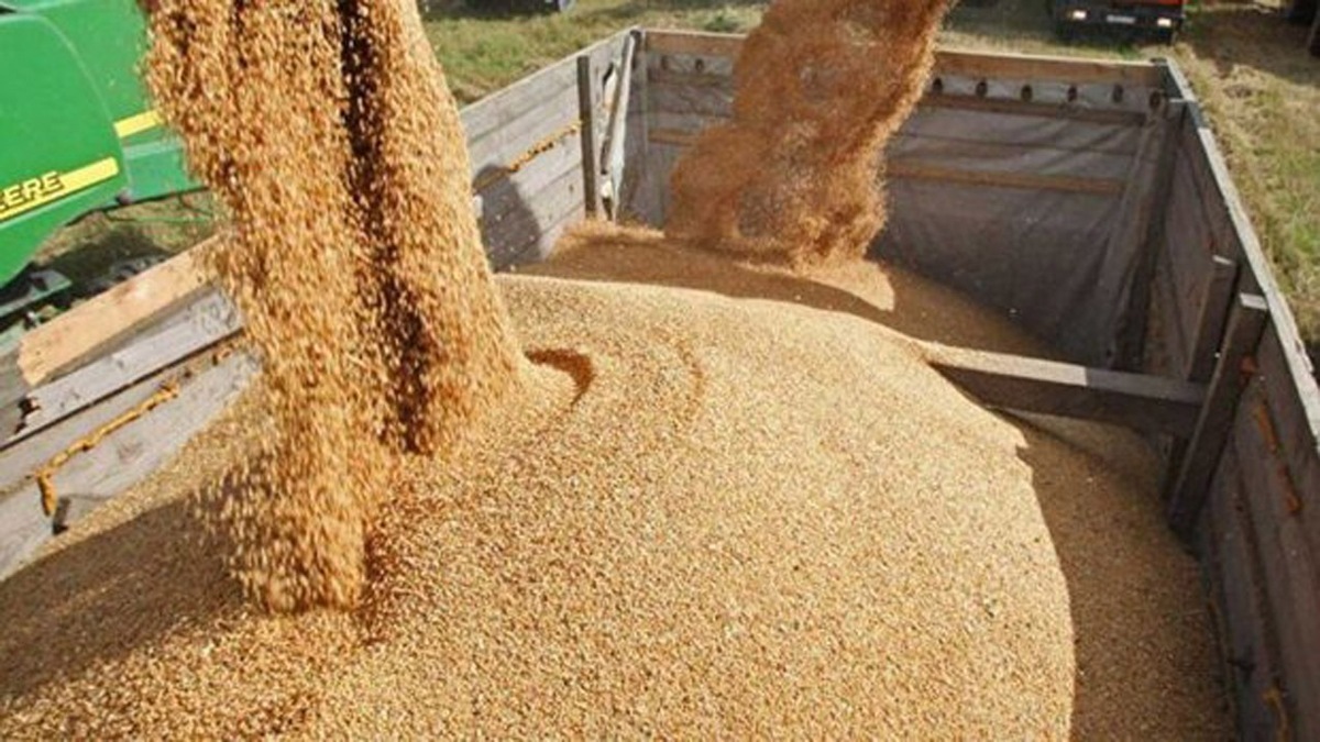 پاسخ طالبان به ایران: ما نیاز نداریم کمبود گندم را از راه قاچاق تامین کنیم