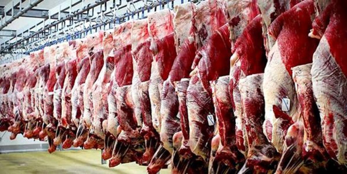 واردات گوشت حرام به ایران؟