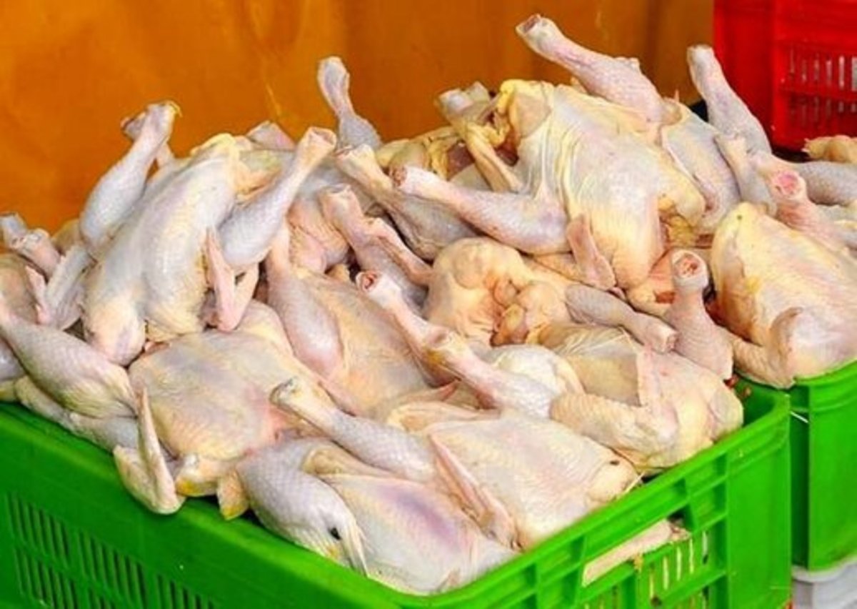 قیمت مرغ؛ هر کیلو بین ۳۷ تا ۴۰ هزار تومان