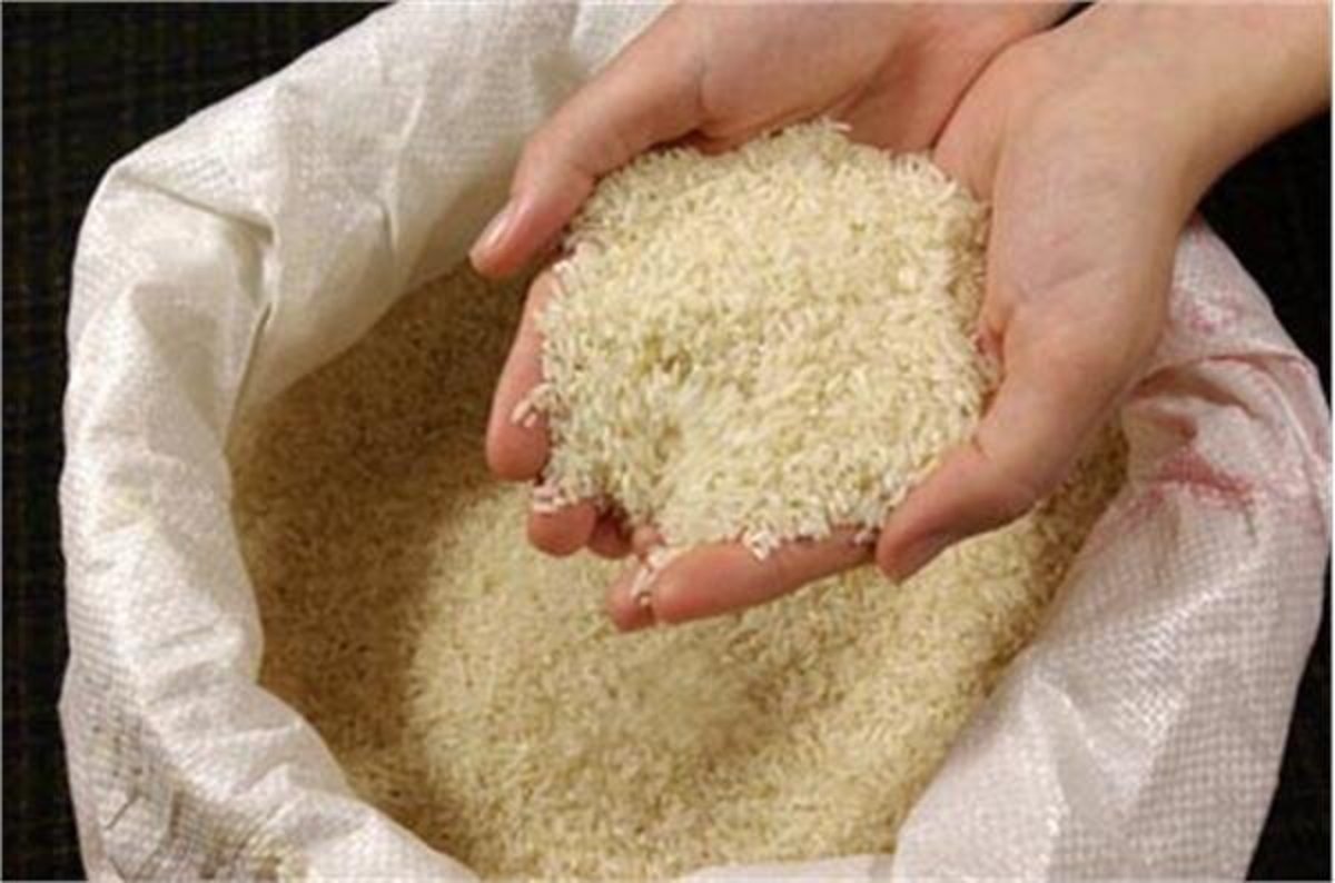 تنها ۵ درصد مردم توان خرید برنج ایرانی را دارند