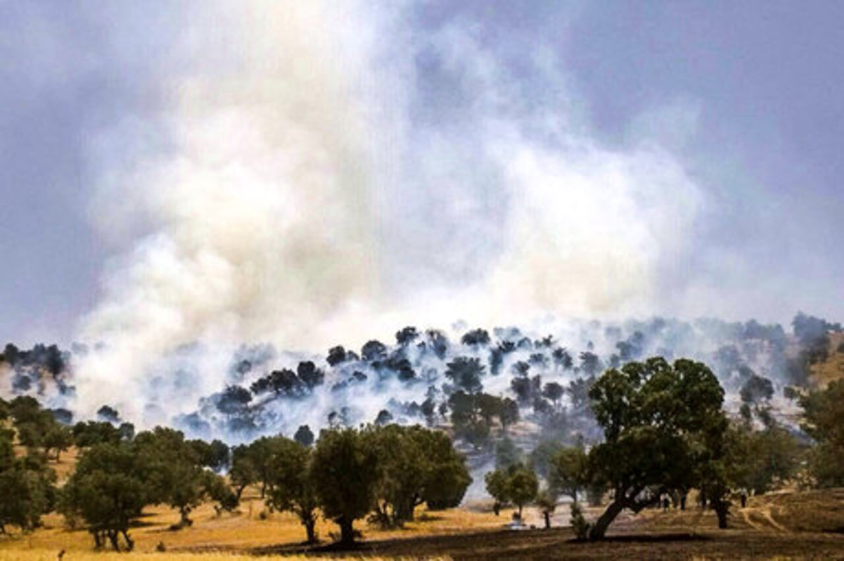 هشدار درباره آتش‌سوزی در جنگل‌های زاگرس