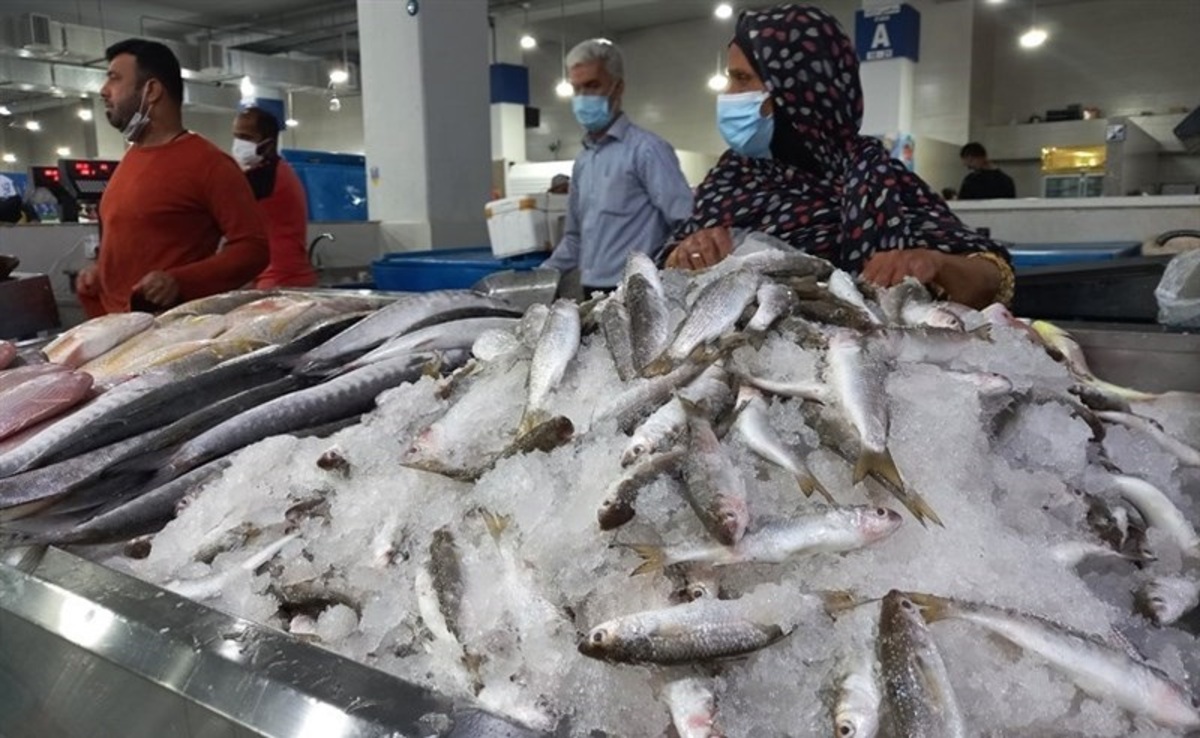 رییس سازمان شیلات: مردم ماهی را جایگزین گوشت و مرغ کنند