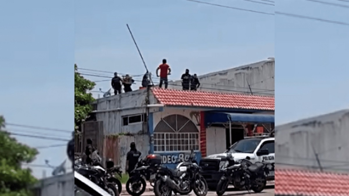 فیلم| دستگیری متهم روی پشت بام با میله آهنی