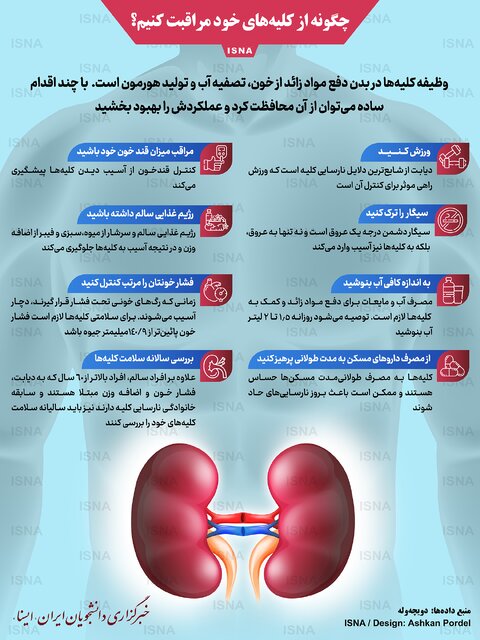 اینفوگرافیک / چگونه از کلیه‌های خود مراقبت کنیم؟