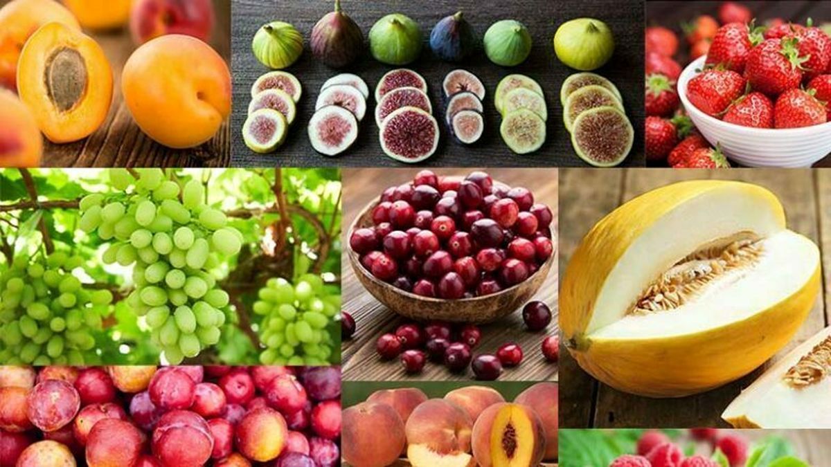 آخرین قیمت‌های میوه در بازار