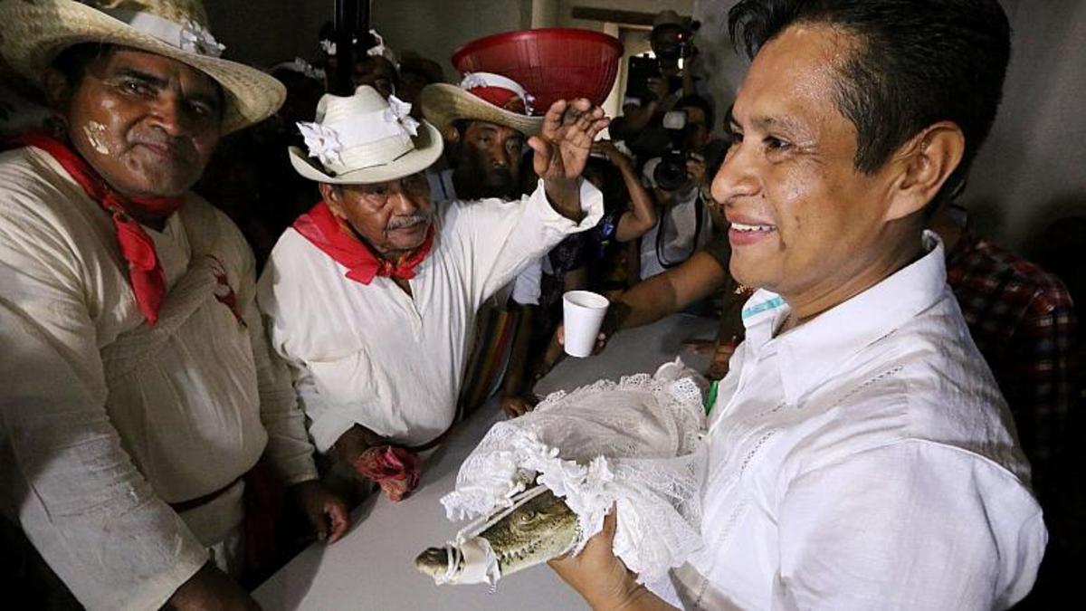 بالاترین مقام شهری در مکزیک با یک تمساح ازدواج کرد