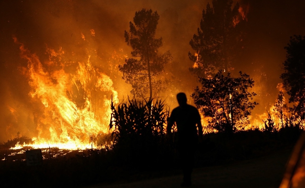 تصاویر| آتش سوزی گسترده در جنگل‌های فرانسه و پرتغال