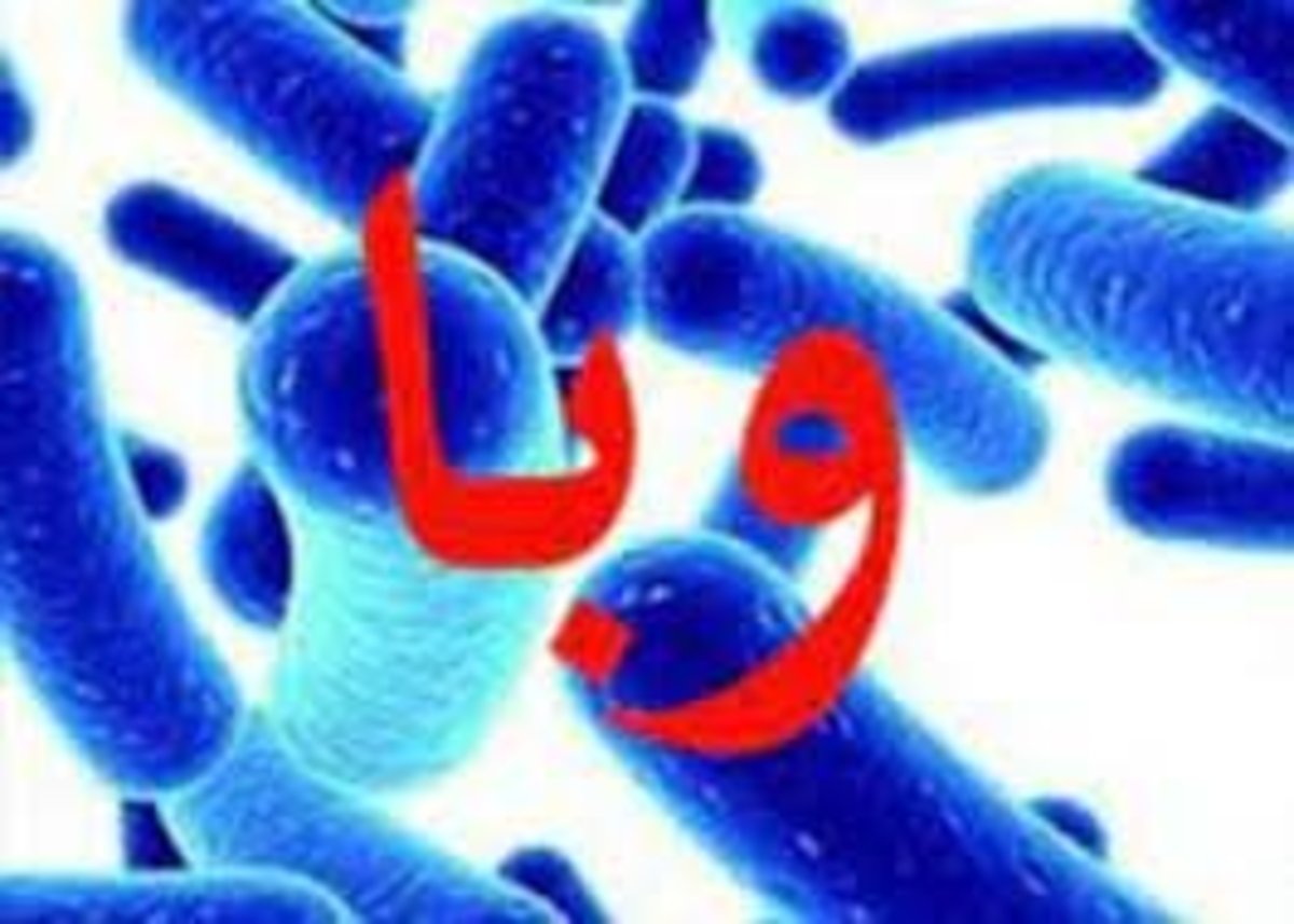 افزایش تعداد موارد مشکوک به بیماری التور وبا در کردستان