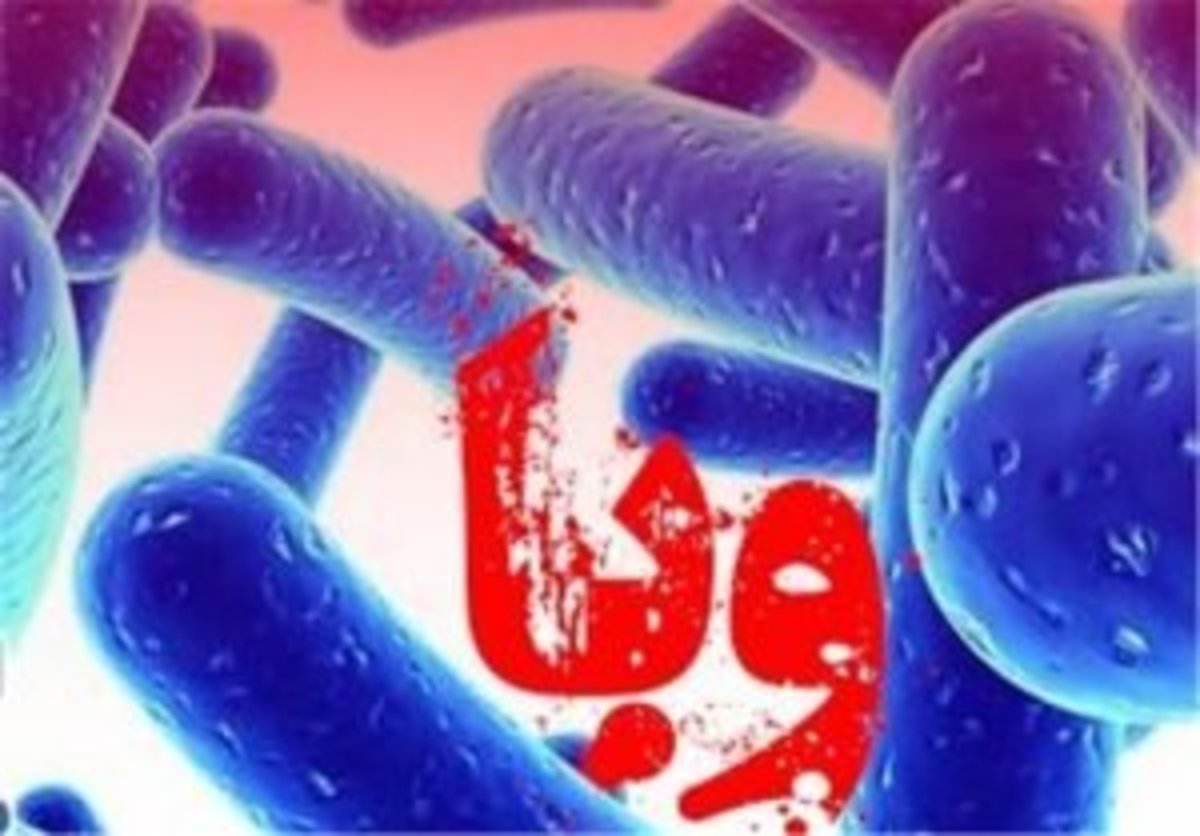 وضعیت «وبا» در ایران / افزایش بیماری در برخی کشور‌های همجوار