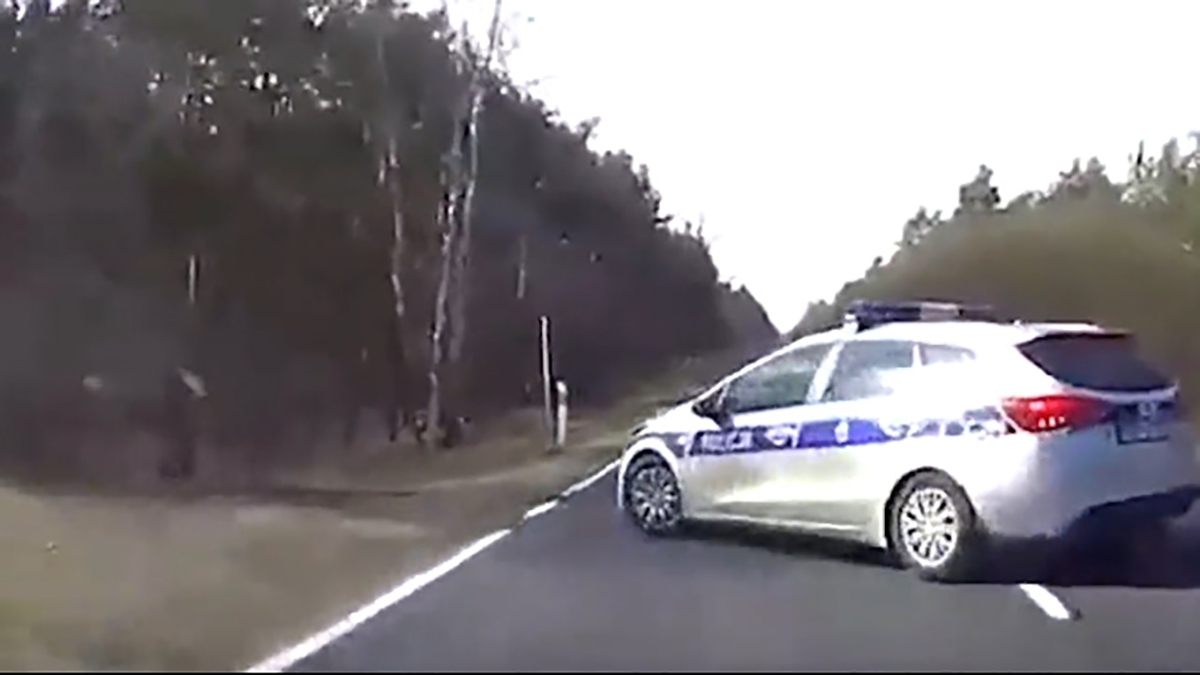 فیلم| تصادف با ماشین پلیس در جاده