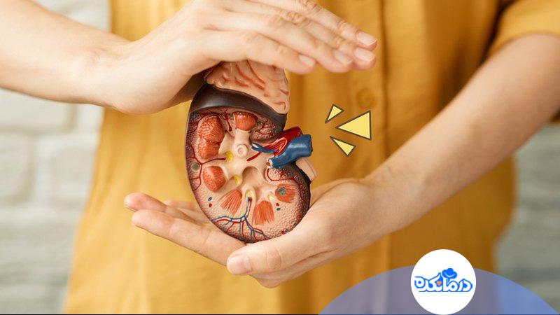 تاثیرات دیابت یا قند خون بر مشکلات کلیوی تاثیرات دیابت یا قند خون بر مشکلات کلیوی