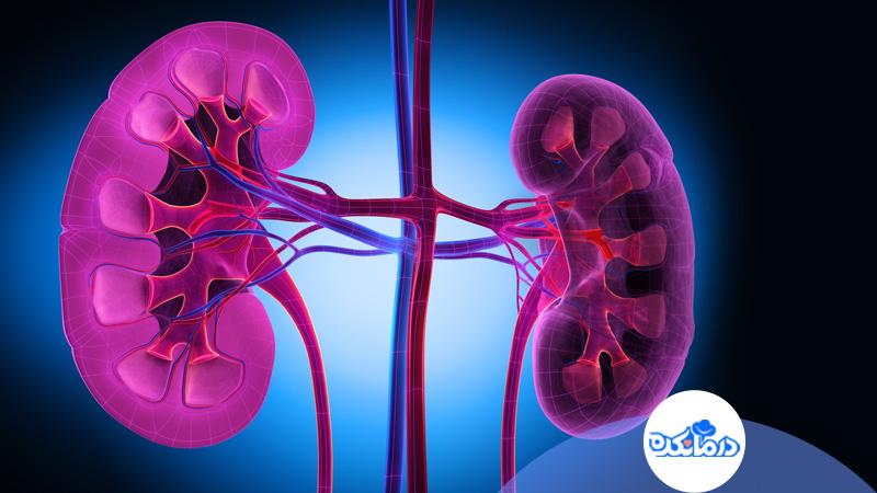 تاثیرات دیابت یا قند خون بر مشکلات کلیوی تاثیرات دیابت یا قند خون بر مشکلات کلیوی