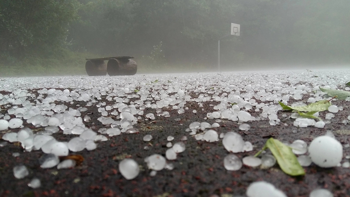 فیلم| خسارت بارش تگرگ به ماشین‌ها