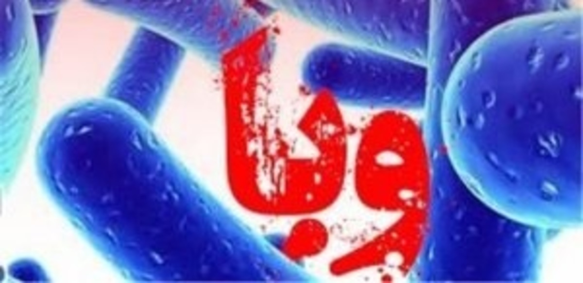 شناسایی ۶۵ ابتلا به وبا در ایران