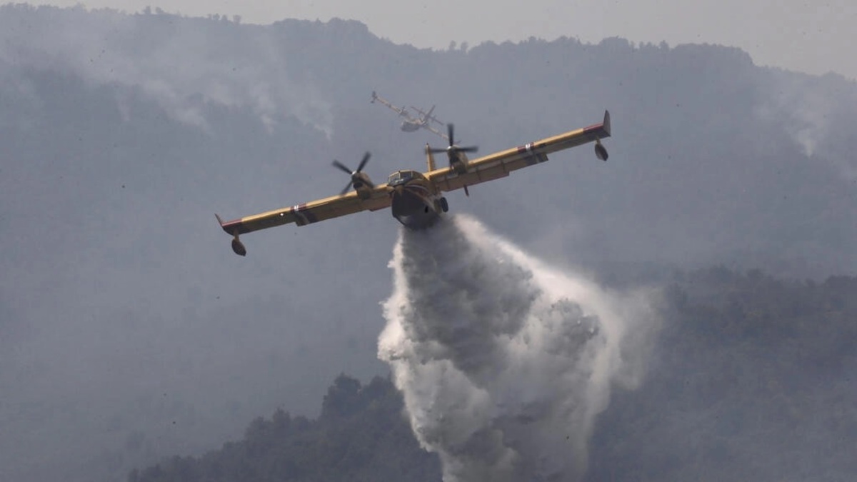آتش‌سوزی جنگل‌ها در الجزایر/ ۲۶ نفر جان باختند