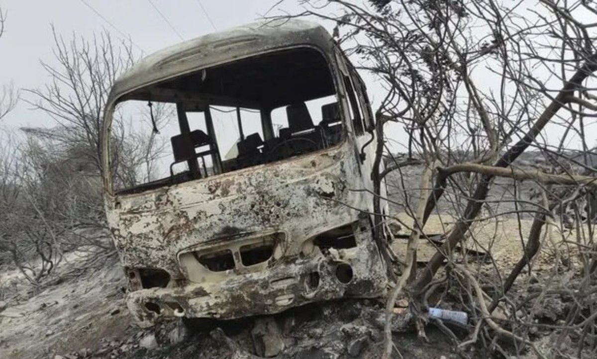 آتش‌سوزی جنگل در الجزایر/ دستکم ۳۸ کشته تاکنون