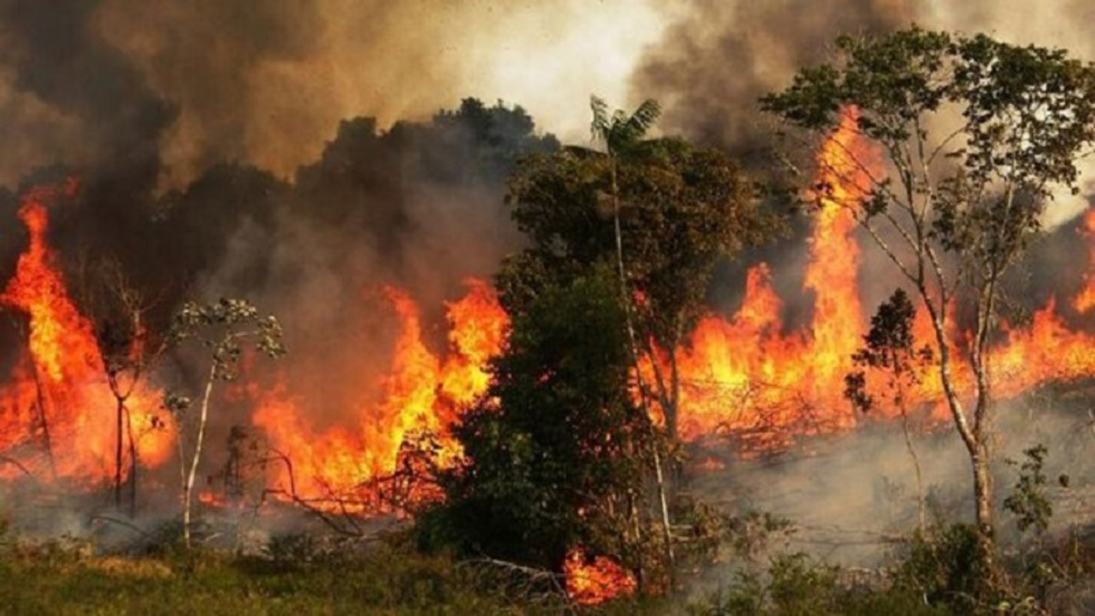 آتش سوزی منطقه جنگلی در خداآفرین