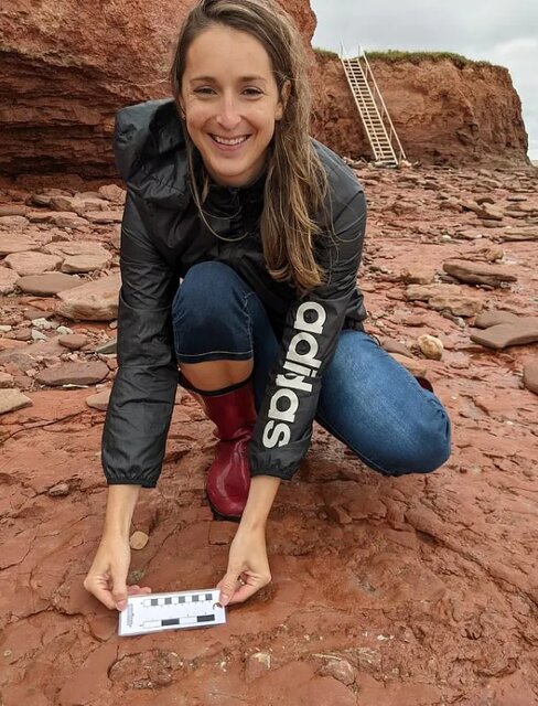 کشف فسیل جانوری ناشناخته قدیمی‌تر از دایناسورها!