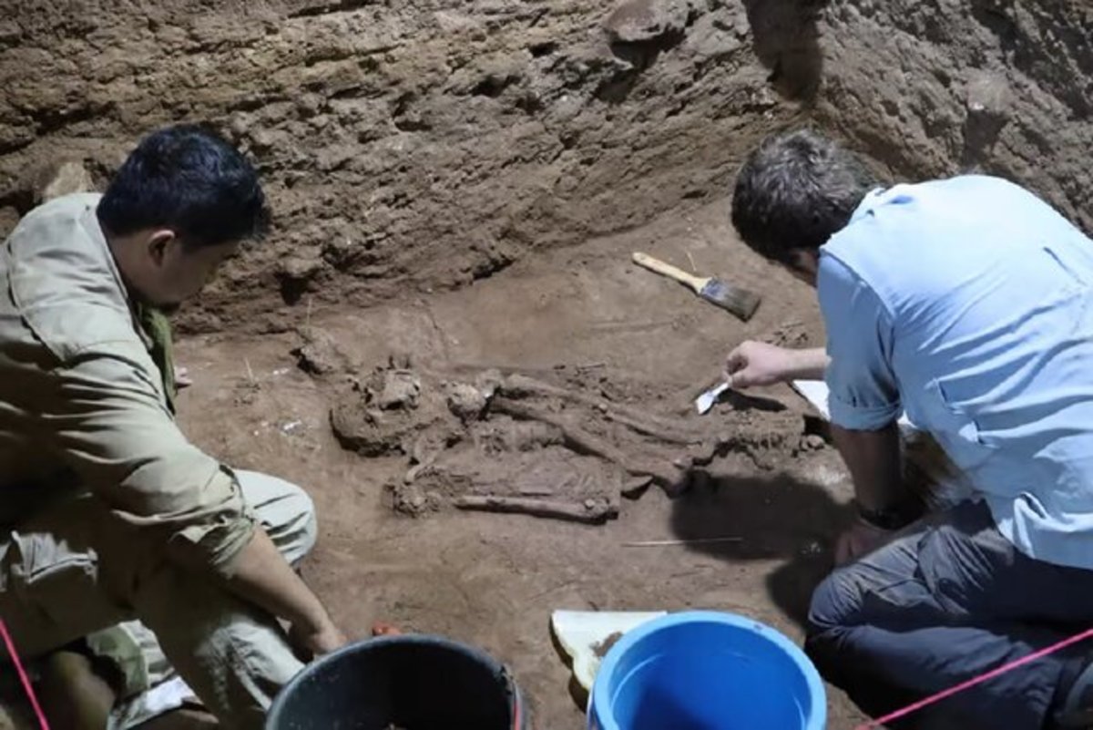 عکس| کشف قدیمی‌ترین عمل جراحی در عصر حجر