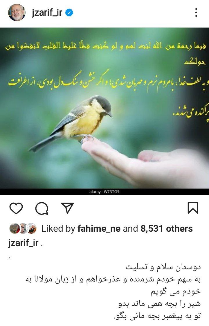 عذرخواهی ظریف در واکنش به فوت مهسا امینی