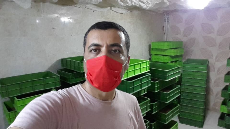 یک جفت سوسک شاخدار؛ ۸ تا ۱۵ میلیون تومان!