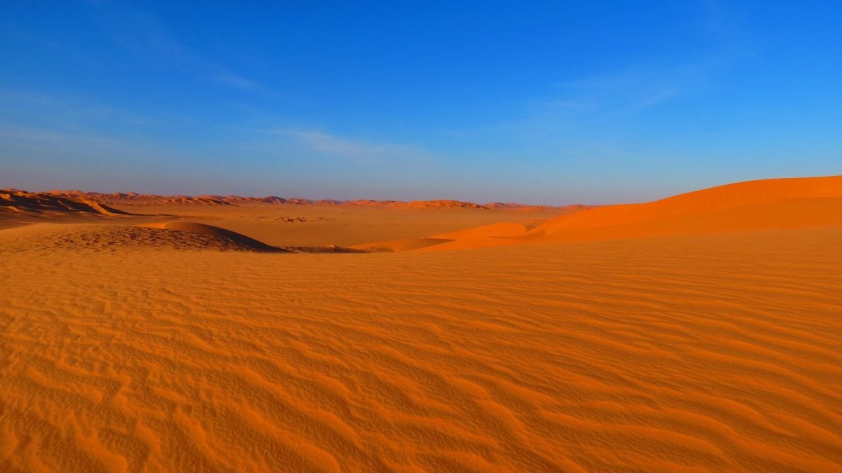 فیلم| نمایی نزدیک از باتلاق شنی