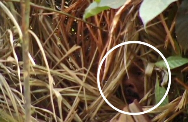 «تنهاترین مرد جهان» در برزیل درگذشت «تنهاترین مرد جهان» در برزیل درگذشت