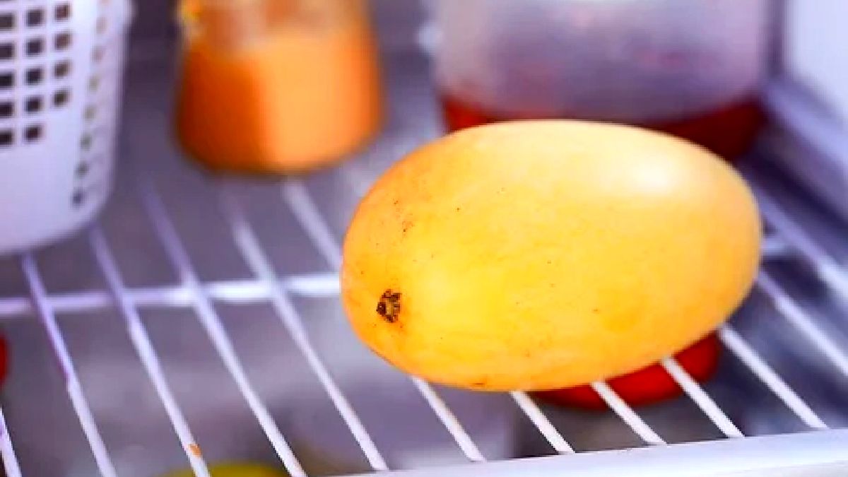 برادرکشی بخاطر آخرین انبه موجود در یخچال برادرکشی بخاطر آخرین انبه موجود در یخچال