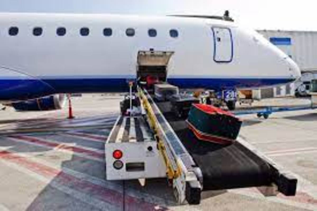 فیلم| نمایی تماشایی از نحوه بارگیری چمدان مسافرین در داخل هواپیما