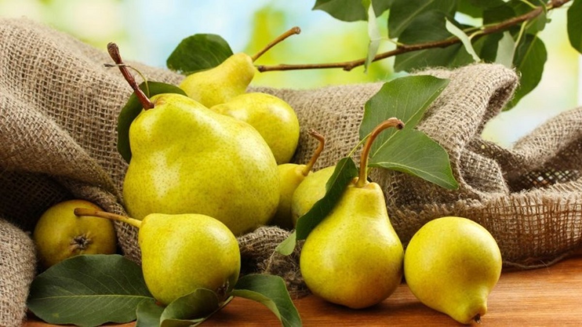 تقویت معده و درمان یبوست با این میوه