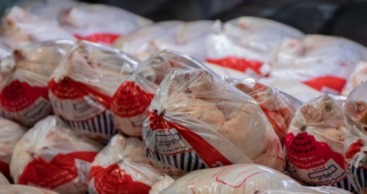 کاهش ۲۰ تا ۳۰ درصدی تولید مرغ