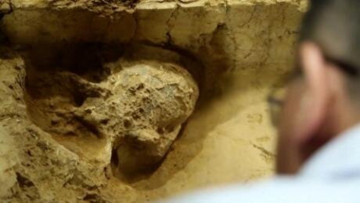 کشف جمجمه انسان یک میلیون ساله