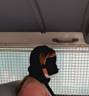 الهام افکاری بازداشت شد الهام افکاری بازداشت شد