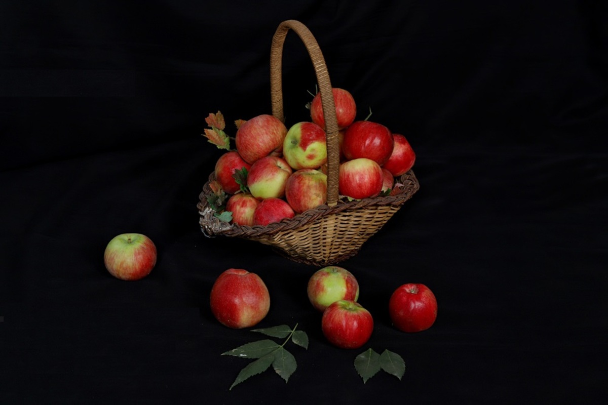 تصاویر| اهر، قطب تولید سیب قره قرمز در کشور