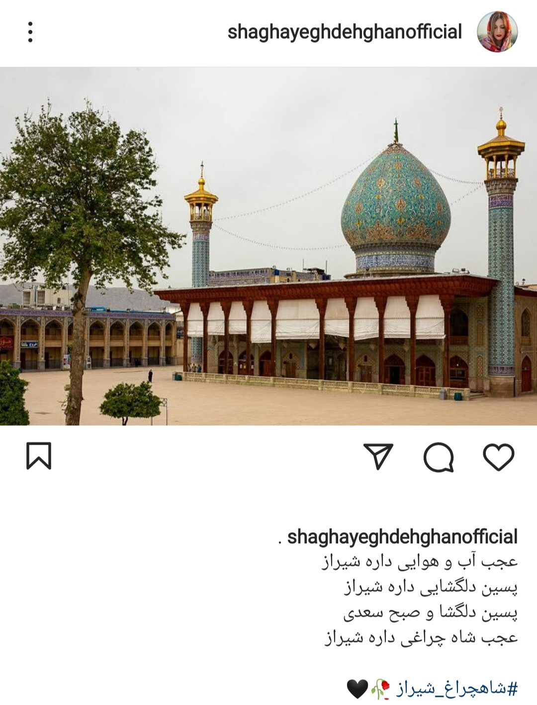 پست شقایق دهقان برای شیراز