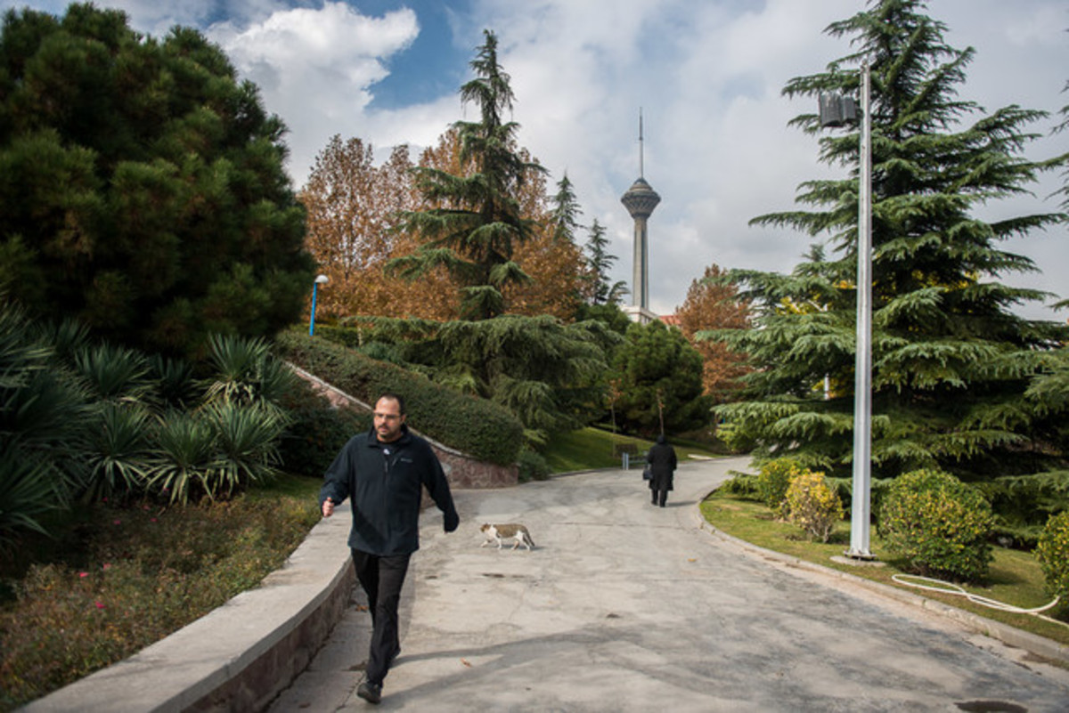 تهران از سال ۹۶ تا ۱۴۰۰ تنها ۳۶ روز هوای پاک داشت
